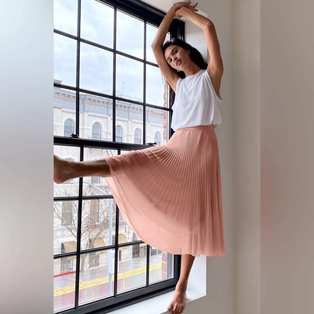 Aritzia Pleated Skirt in Soft Pink